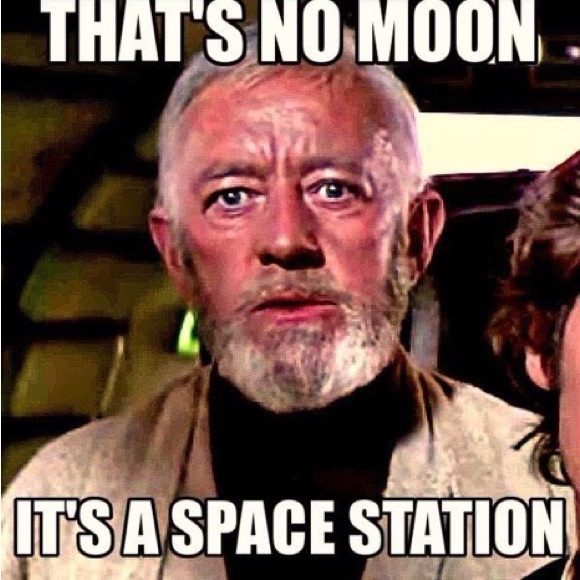 Meet your Posher, Trent - Picture 1 of 1